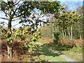 Pound Common and Bridleway