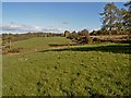 NH9652 : Near Bothiewalls (farm) by Ian R Maxwell