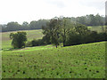 Farmland below Woodlands Farm