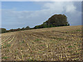 Stubble near Bytham Farm