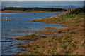 The loughshore near Kircubbin