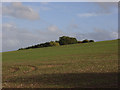 SU2374 : Farmland and plantation below Dudmore Lodge by Andrew Smith