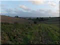 Valley above Burney Farm