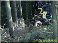 Forestry Harvester at Work