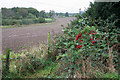 Farmland near Ellistown