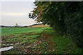 Diverted footpath near Ellistown