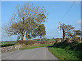 Country lane at Rhosgoch