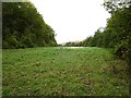 Pasture beside Church Road