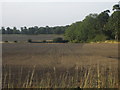 Fields from Newark Road near Norton Disney