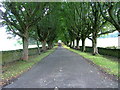 Driveway to Inverbroom Lodge