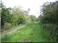 Cricklade: Dismantled railway line