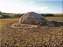 NH9553 : Erratic near the Moyness Cairn (alternate view) by Ian R Maxwell