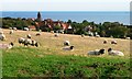 Field off Church Lane