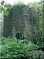 SS6190 : Ivy Tower in Clyne Valley Country Park by Nigel Davies