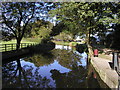 The Ripon Canal above the top lock.