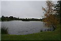 Artloch Trout Fishery.