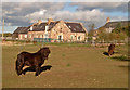 Wester Clune (farm) viewed from the west