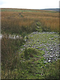 NX6386 : The Southern Uplands Way near Corseglass by Oliver Dixon