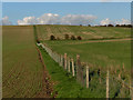 Farmland, Aldbourne