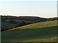 Farmland near Axford