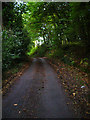 TQ5714 : Swanbrook Lane, Pickly Wood by Simon Carey