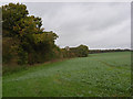 Farmland above Ramsbury