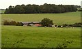 Potash Farm, just east of Berden, Essex