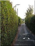 SX9492 : Birchy Barton Hill, Heavitree by Derek Harper