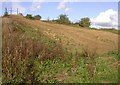 Close-up of a Practice Ski Slope