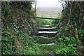 Stile or Cattle Grid?