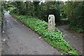 Tramway Footpath at Cambrose