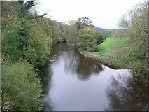 SJ1915 : Afon Efyrnwy/River Vyrnwy from Pont Ysgawrhyd by Jennifer Luther Thomas