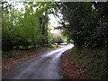 Local byway near Studland