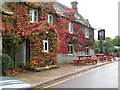 Banks Arms, Studland