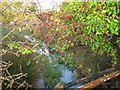 Afon Goch stream