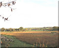 The Flood Plain of Afon Rhythallt