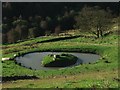 Duck Pond at Bottoms Farm.