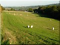 Farmland near Whichford