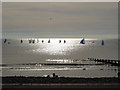 Autumn sailing at Felpham (3)