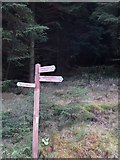 NT2046 : Signpost, Cloich Forest. by Chris Eilbeck
