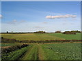 View north from Stone Hill