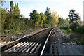 Single track line at Soham