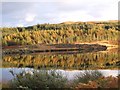 NM4752 : Loch Meadhoin - Autumn reflection by Rob Farrow
