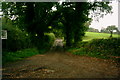 A Farm Track to Several Farms