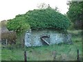 Ruined cottage