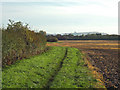 Bridleway, beside the worked field.