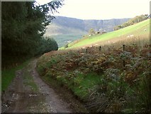 SJ0932 : Track near Blaen-y-cwm by Peter Craine