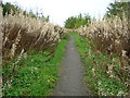 Path from Calder Water