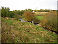 Calder Water at Langlands