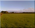 Farmland near Blackhamilton